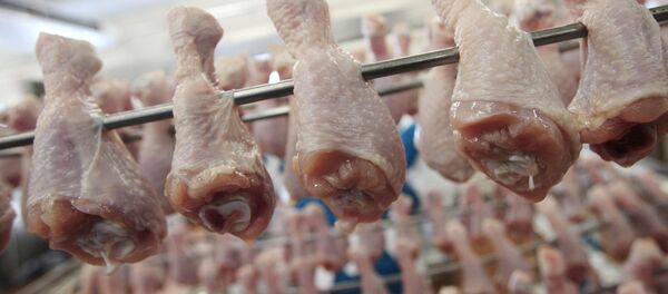 Сhicken Leg Quarters From the United States - Sputnik International