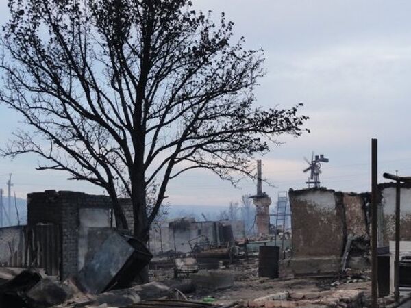 Consequences of wildfires in Russia’s Volgograd Region - Sputnik International