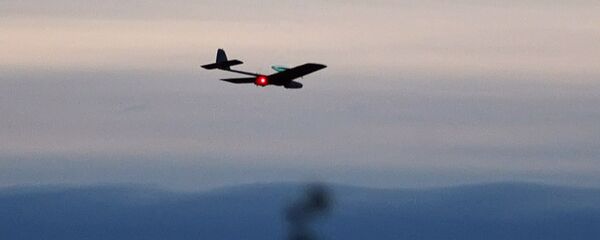 Беспилотный летательный аппарат (БПЛА) - Sputnik International