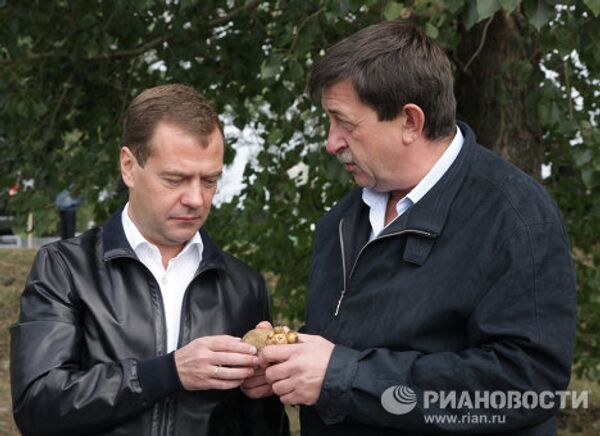 Dmitry Medvedev in potato fields - Sputnik International