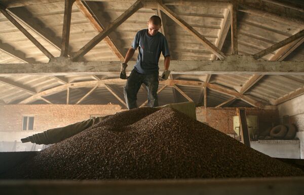 Ukraine plans to export about 20 million tons of grain from its 2011 harvest - Sputnik International