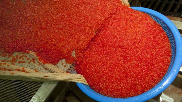Red caviar - Sputnik International