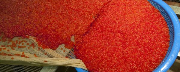Red caviar Red caviar - Sputnik International