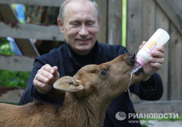 Summer 2010 of Vladimir Putin  - Sputnik International