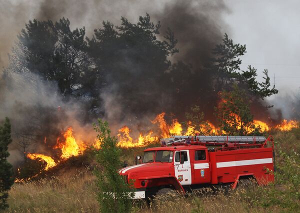 Wildfires in Russia  - Sputnik International