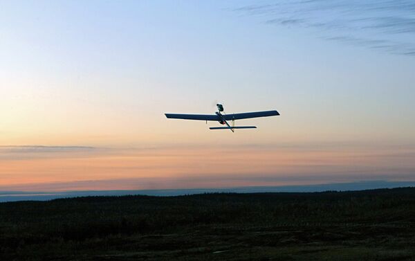 Activists See Drones as Game Changer in Nature Conservation - Sputnik International