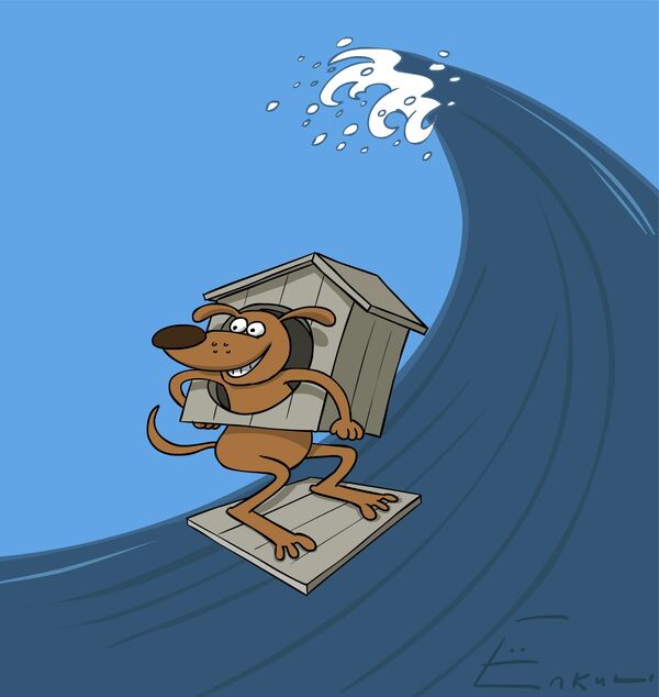 Surf dog contest - Sputnik International