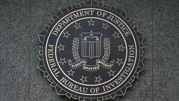 Federal Bureau of Investigation (FBI) investigated the case - Sputnik International
