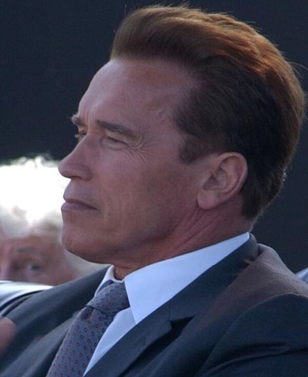 Schwarzenegger brings Californian investors to Russia - Sputnik International