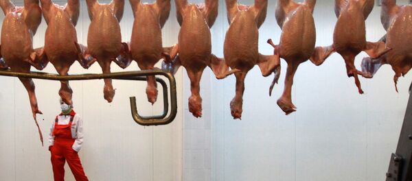 Thorough cooking of chicken kills the bug, however it is the most common form of food poisoning in the UK, considered responsible for more than 280,000 cases of food poisoning each year and an estimated 100 deaths. - Sputnik International