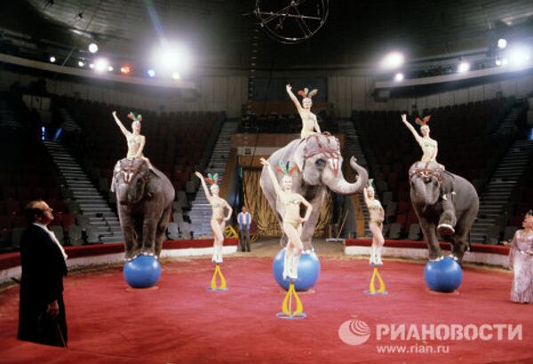 Moscow Circus on Tsvetnoi Boulevard: a show lasting for over a century - Sputnik International