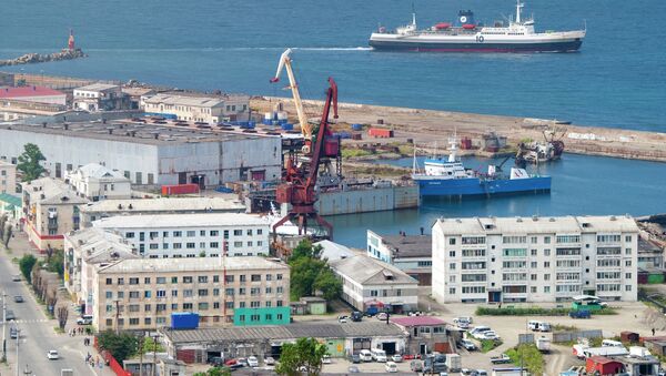Kholmsk - Vanino freight ferry of the Sakhalin Shipping Company entering the port of Kholmsk. - Sputnik International