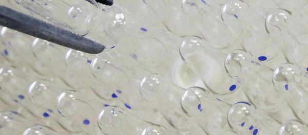 Four vaccines against the Ebola virus are currently being developed by Russian scientists, one of them is already undergoing clinical tests, Russian Health Minister Olga Golodets said Thursday. Four vaccines against the Ebola virus are currently being developed by Russian scientists, one of them is already undergoing clinical tests, Russian Health Minister Olga Golodets said Thursday. - Sputnik International