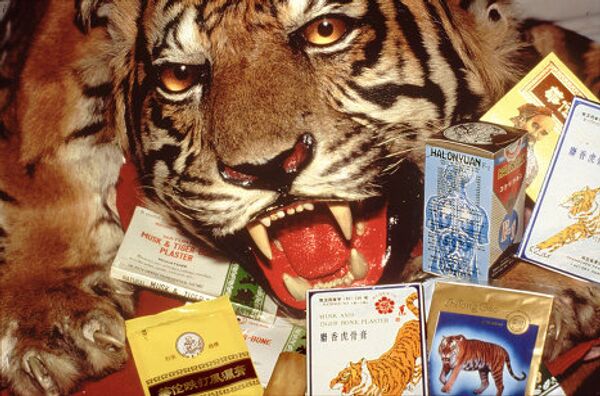 Skin, miracle cures, amulets - what tigers are killed for - Sputnik International