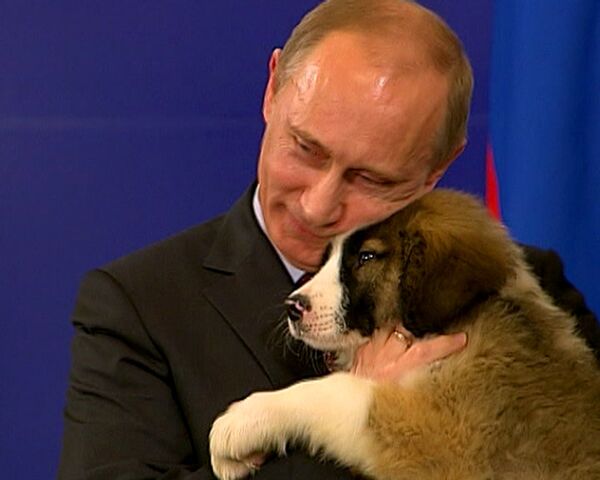Bulgarian PM gives Putin puppy after sealing gas deal - Sputnik International