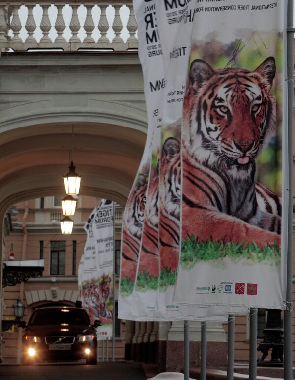 Opening of International forum on tiger preservation on the Earth, St. Petersburg - Sputnik International