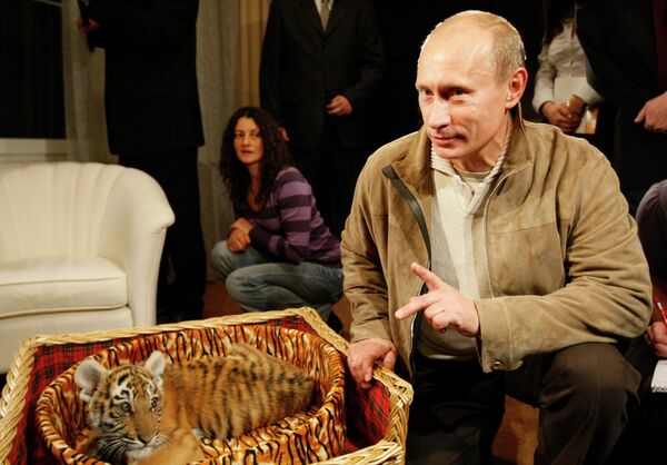 Russian Prime Minister Vladimir Putin and tiger cub. Archive. - Sputnik International