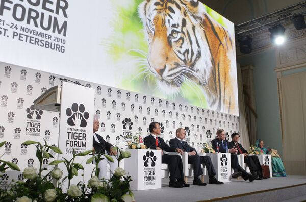 International Tiger Conservation Forum in St Petersburg - Sputnik International