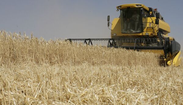 Russian Grain Harvest Falls to 75 Mln Tons - Minister - Sputnik International