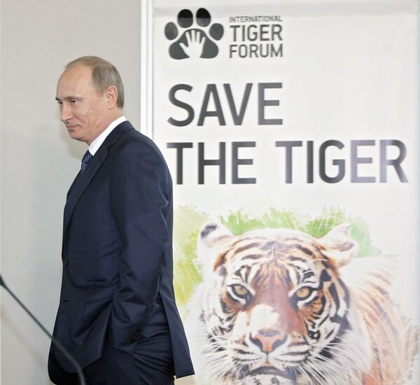 Putin attended the International Tiger Conservation Forum and pledged that Russia will toughen its laws against hunting tigers.  - Sputnik International