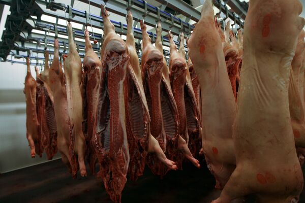 Pig DNA Found in Halal Meat Plant in Moscow - Sputnik International