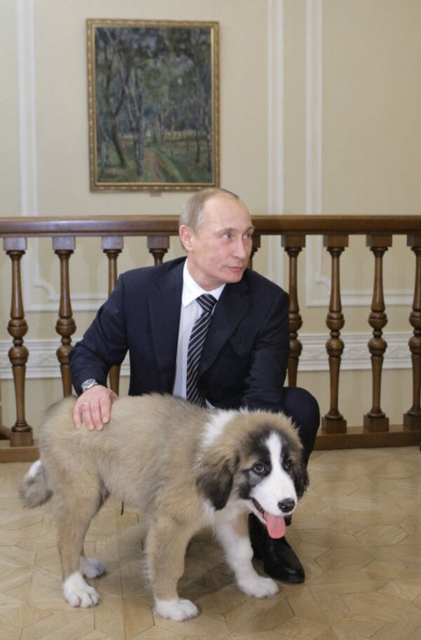 Putin’s puppy gets a name - Sputnik International