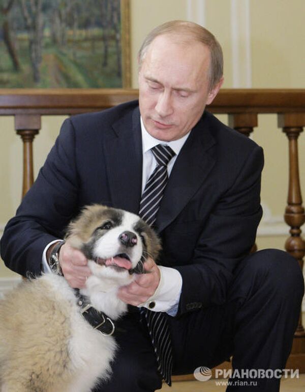 Putin’s puppy gets a name - Sputnik International