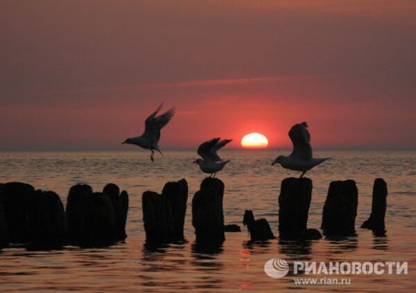 RIA Novosti Photo Gallery: Sunsets - Sputnik International