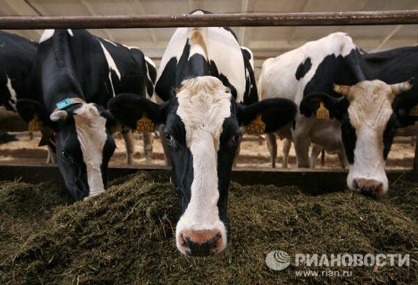 RIA Novosti Photo Gallery: Animals - Sputnik International