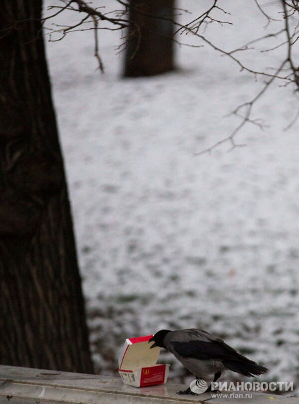 RIA Novosti Photo Gallery: Nature RIA Novosti Photo Gallery: Nature - Sputnik International