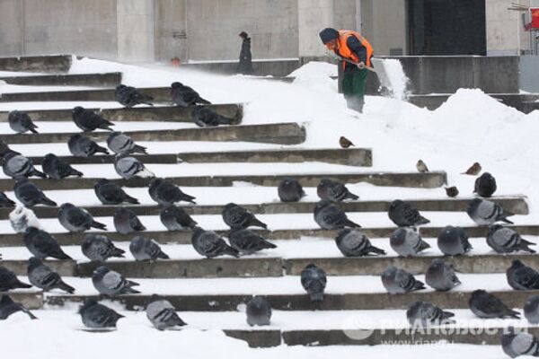 RIA Novosti Photo Gallery: Nature RIA Novosti Photo Gallery: Nature - Sputnik International