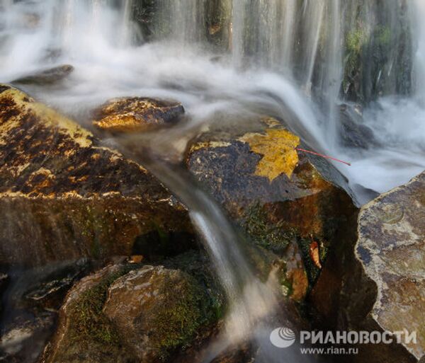 RIA Novosti Photo Gallery: Nature RIA Novosti Photo Gallery: Nature - Sputnik International