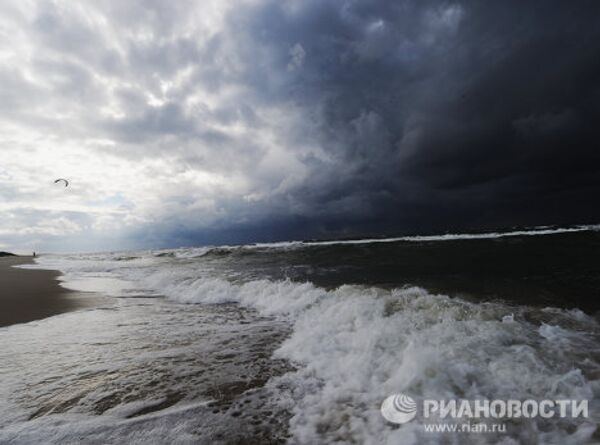 RIA Novosti Photo Gallery: Nature RIA Novosti Photo Gallery: Nature - Sputnik International