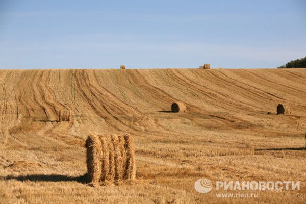 RIA Novosti Photo Gallery: Nature RIA Novosti Photo Gallery: Nature - Sputnik International