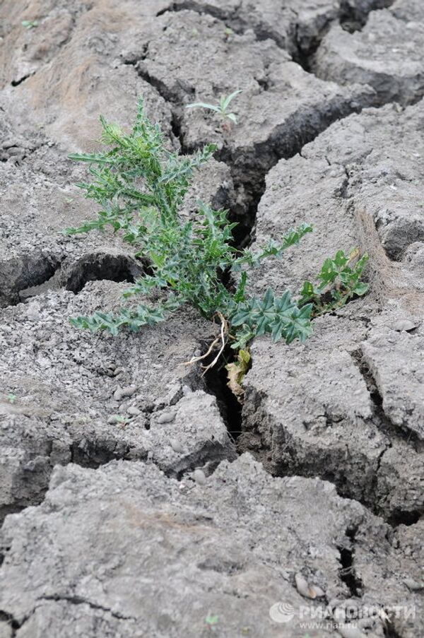 RIA Novosti Photo Gallery: Nature RIA Novosti Photo Gallery: Nature - Sputnik International