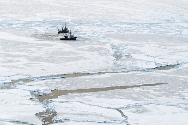 Fishing vessels frozen in ice in the northern Sea of Okhotsk - Sputnik International