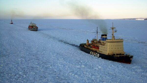 On Friday and Saturday, the Admiral Makarov released the Professor Kizevetter and the Mys Yelizavety vessels from the ice trap, while the Anton Gurin managed to cope with the situation on its own - Sputnik International