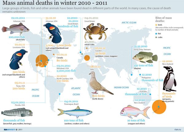 Mass animal deaths in winter 2010-2011 - Sputnik International