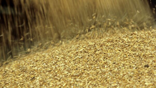 Russia to Double Grain Exports by 2020          - Sputnik International