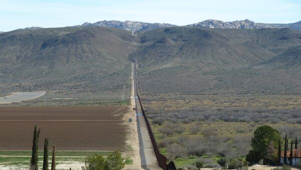 United States-Mexico border - Sputnik International