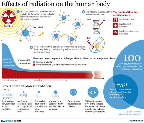 Effects of radiation on the human body - Sputnik International