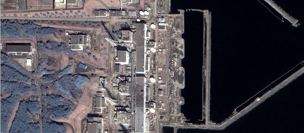 The Japanese Environment Ministry's attempts to find permanent storage sites for waste materials contaminated in the Fukushima nuclear power plant disaster have been met with local resistance - Sputnik International