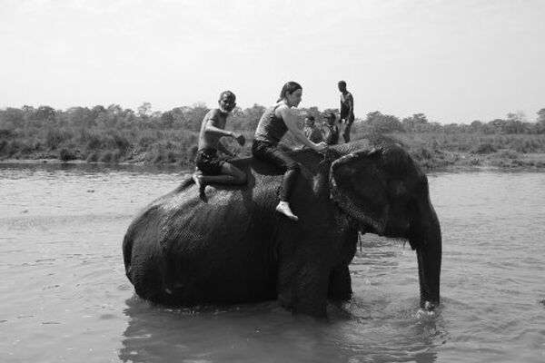 Bath time for the elephants in Chitwan - Sputnik International