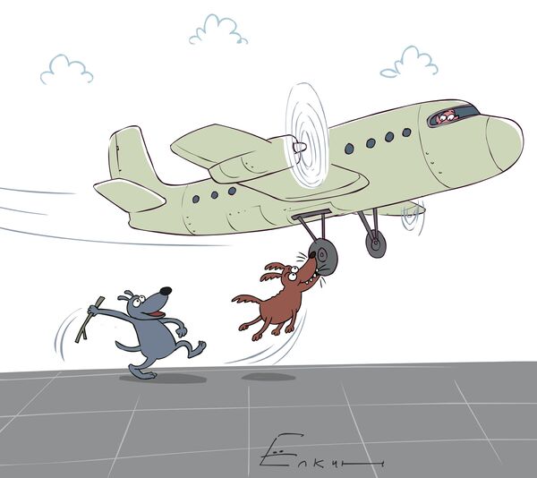 Dogs obstruct plane from landing in Siberia - Sputnik International