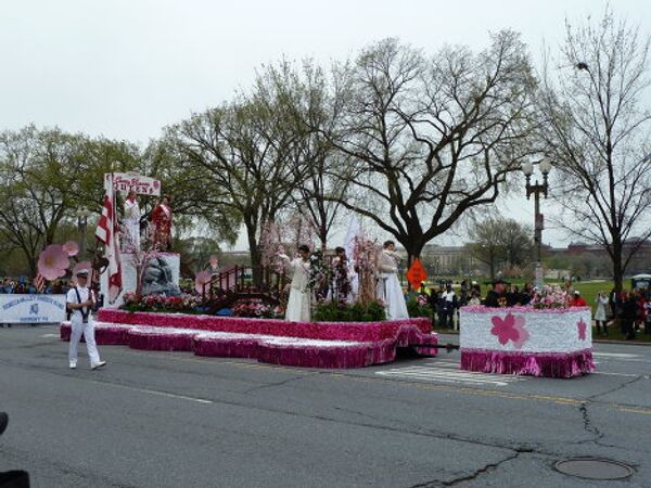 National Cherry Blossom Festival in Washington, D.C. - Sputnik International