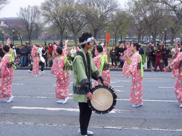 National Cherry Blossom Festival in Washington, D.C. - Sputnik International