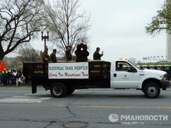 National Cherry Blossom Festival in Washington, D.C. - Sputnik International