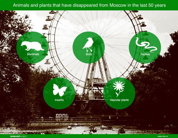 Animals and plants that have disappeared from Moscow in the last 50 years - Sputnik International