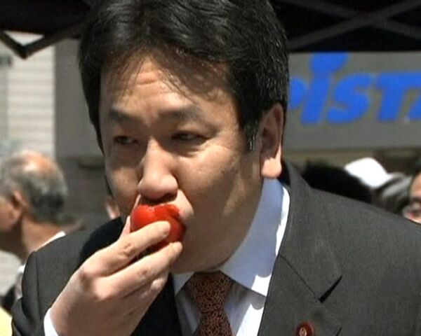 Japanese premier tastes strawberries from Fukushima prefecture - Sputnik International