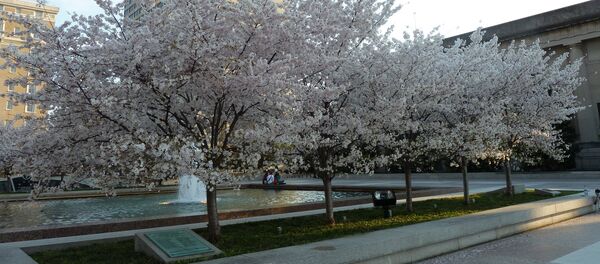 Город Нашвилл, штат Теннесси - Sputnik International